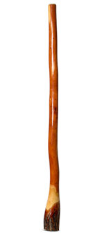 Ironbark Didgeridoo (IB180)